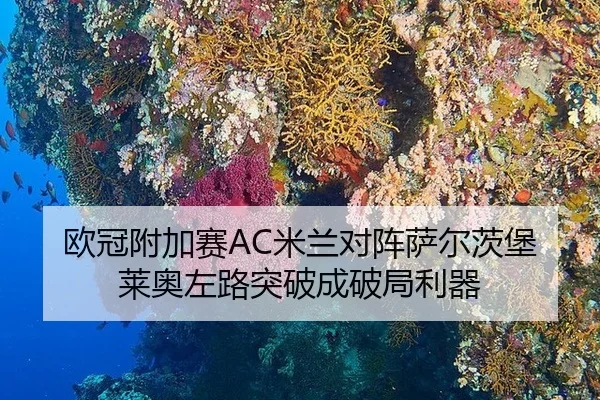 ou-guan-fu-jia-sai-mi-lan-dui-zhen-sa-er-ci-bao-lai-ao-zuo-lu-tu-po-cheng-po-ju-li-qi-2-608.jpg