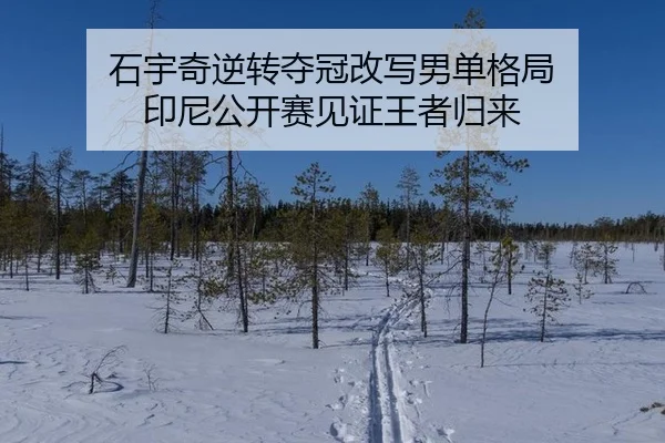 石宇奇逆转夺冠改写男单格局 印尼公开赛见证王者归来