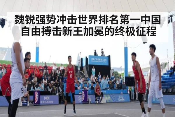 魏锐强势冲击世界排名第一中国自由搏击新王加冕的终极征程