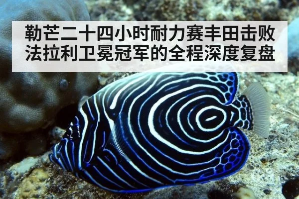 勒芒二十四小时耐力赛丰田击败法拉利卫冕冠军的全程深度复盘